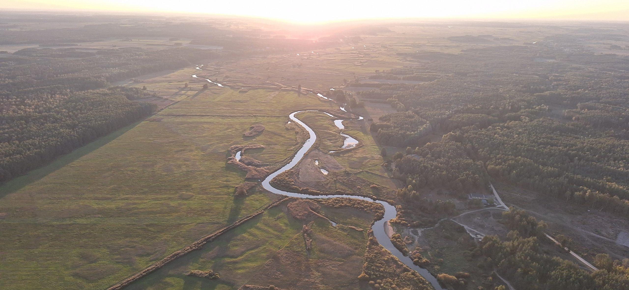 Rzeka Narew